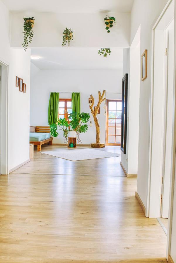 Luxus Apartment! Kueche, Balkon, Netflix, Parkplatz - 8 Personen Ilmmunster Eksteriør billede